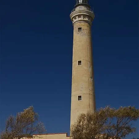 Rosaura *